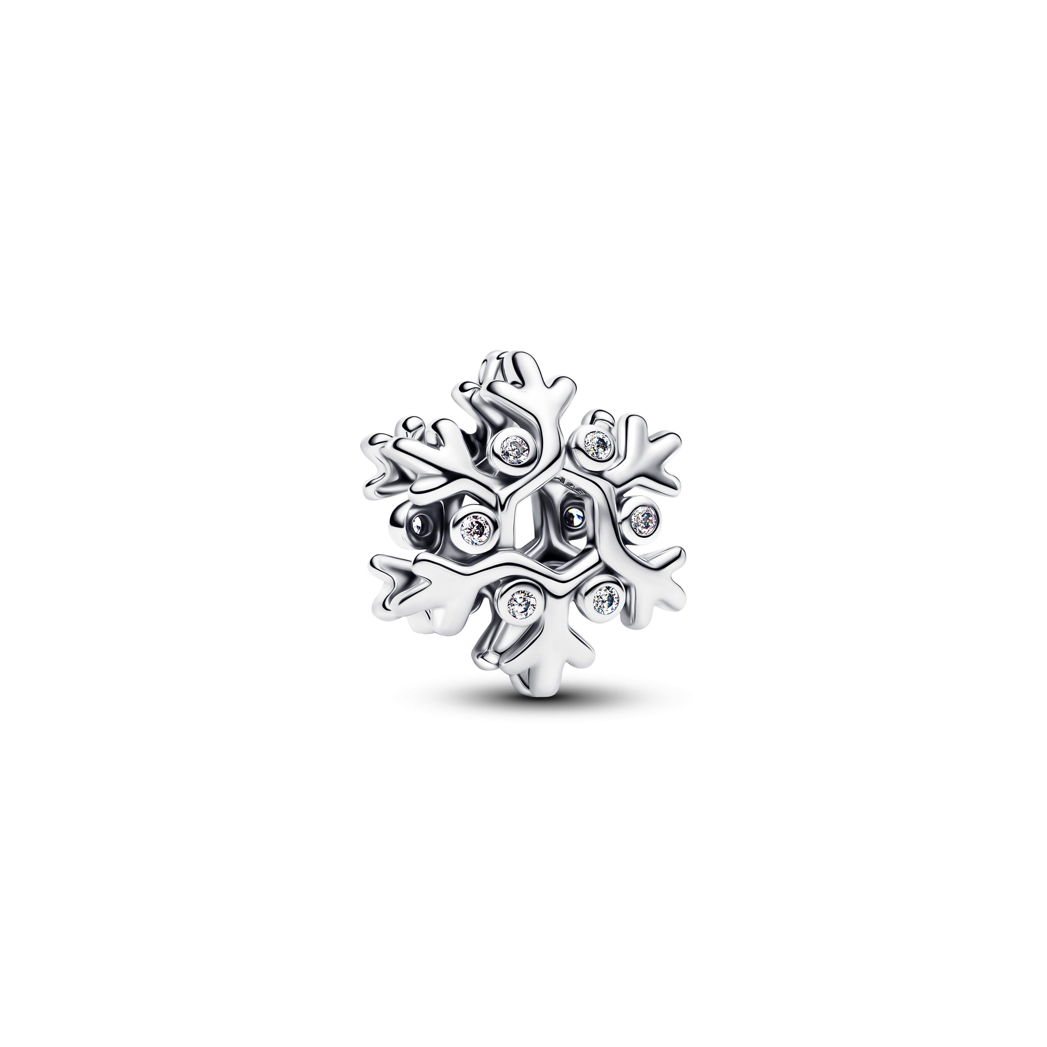 Snowflake Charm